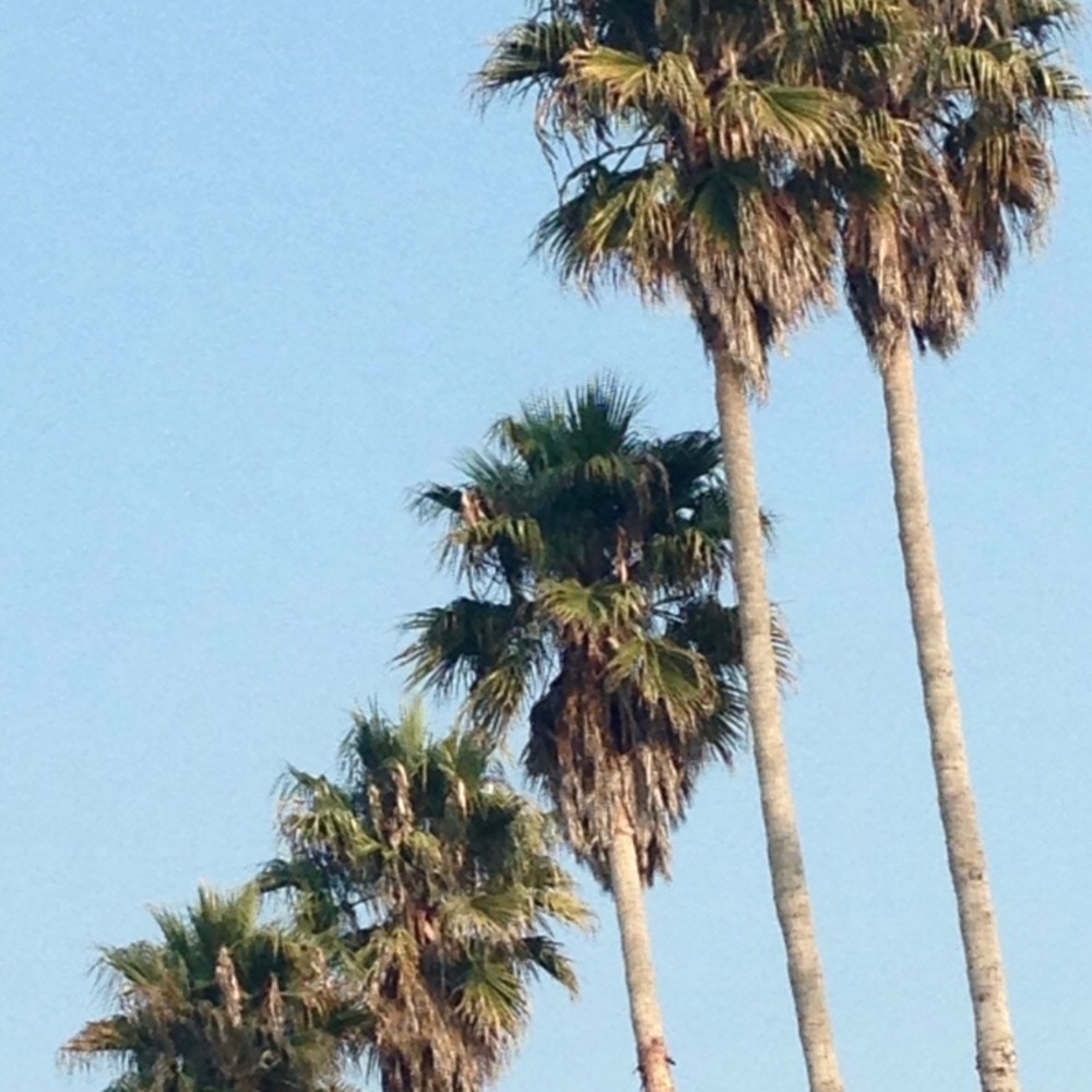 Meet your Posher, Lynette